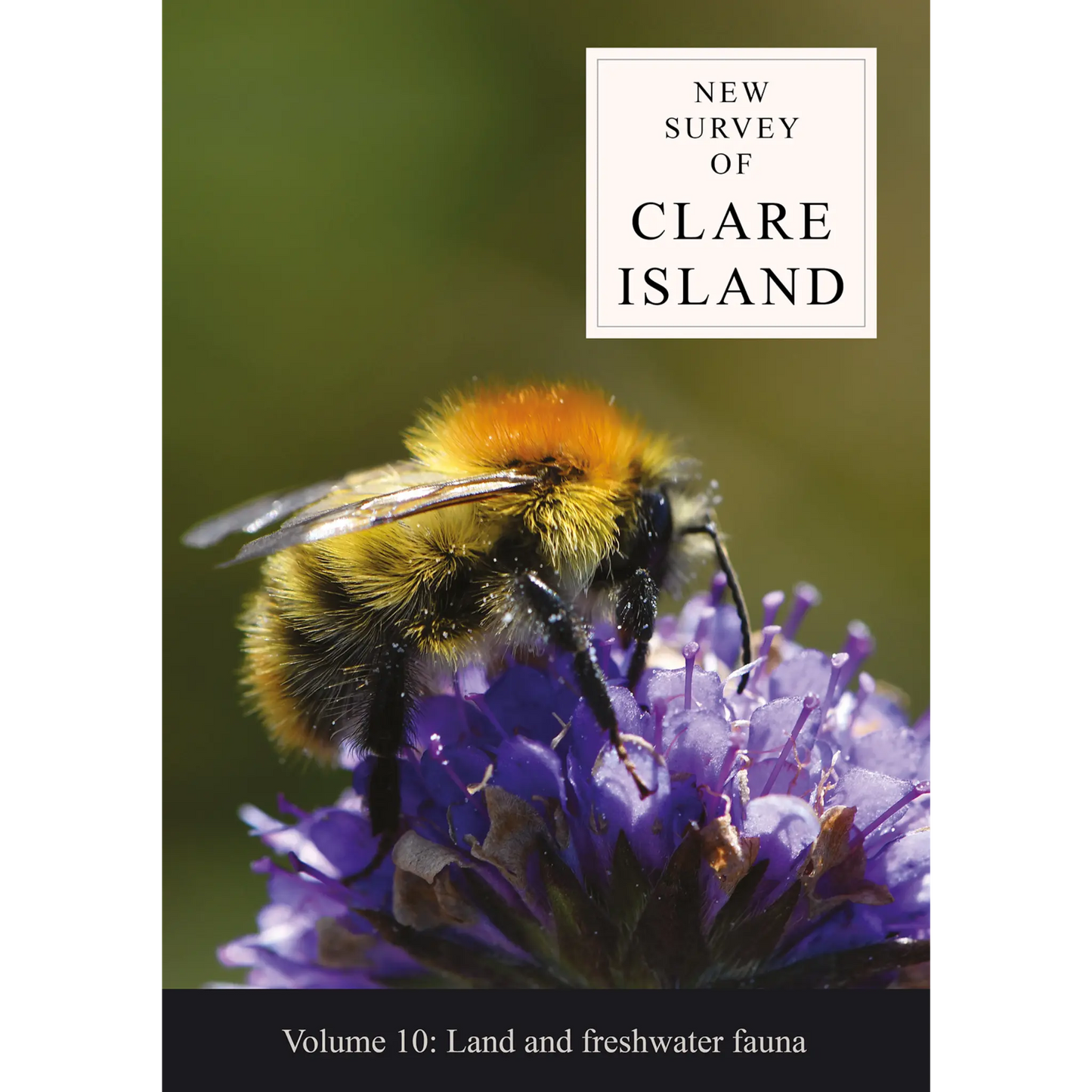 New Survey of Clare Island Volume 10: Land and freshwater fauna