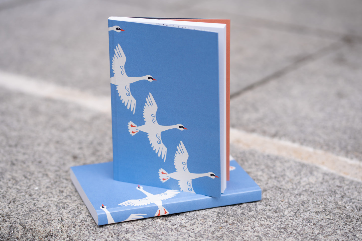 Children of Lir notebook