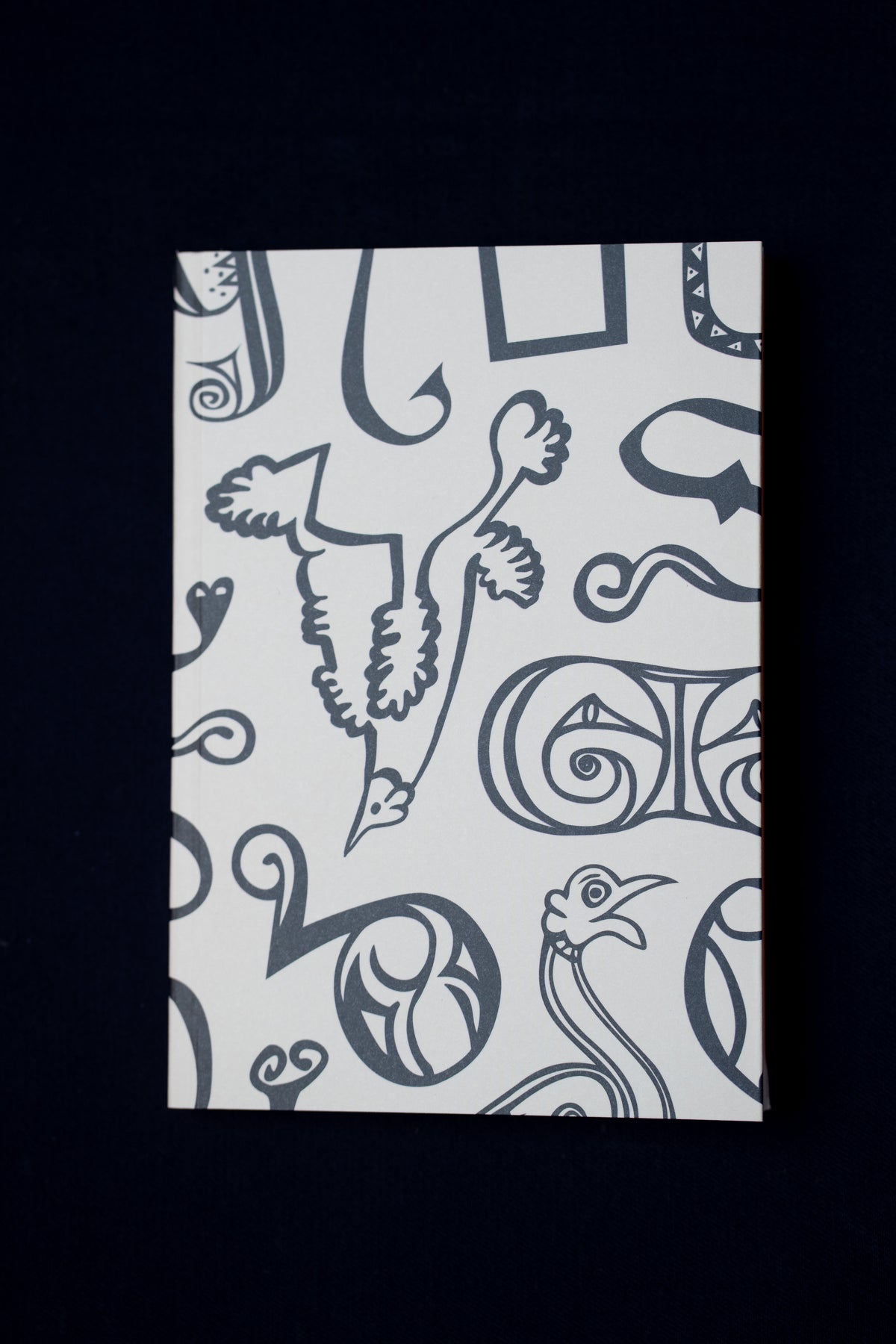 Note Book 1 Ria Letters notebook – Royal Irish Academy