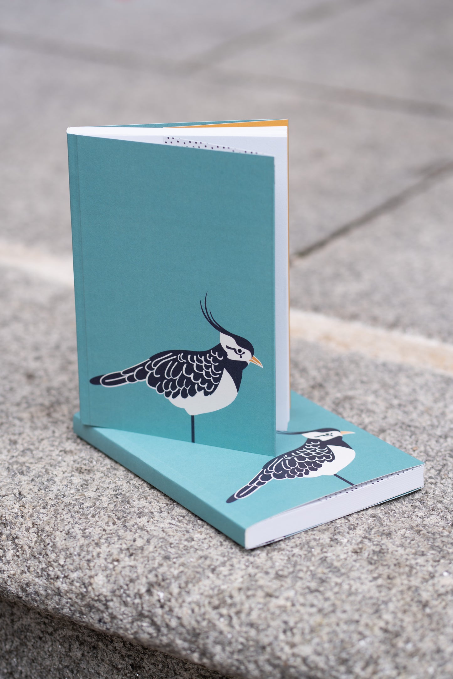 Lapwing notebook
