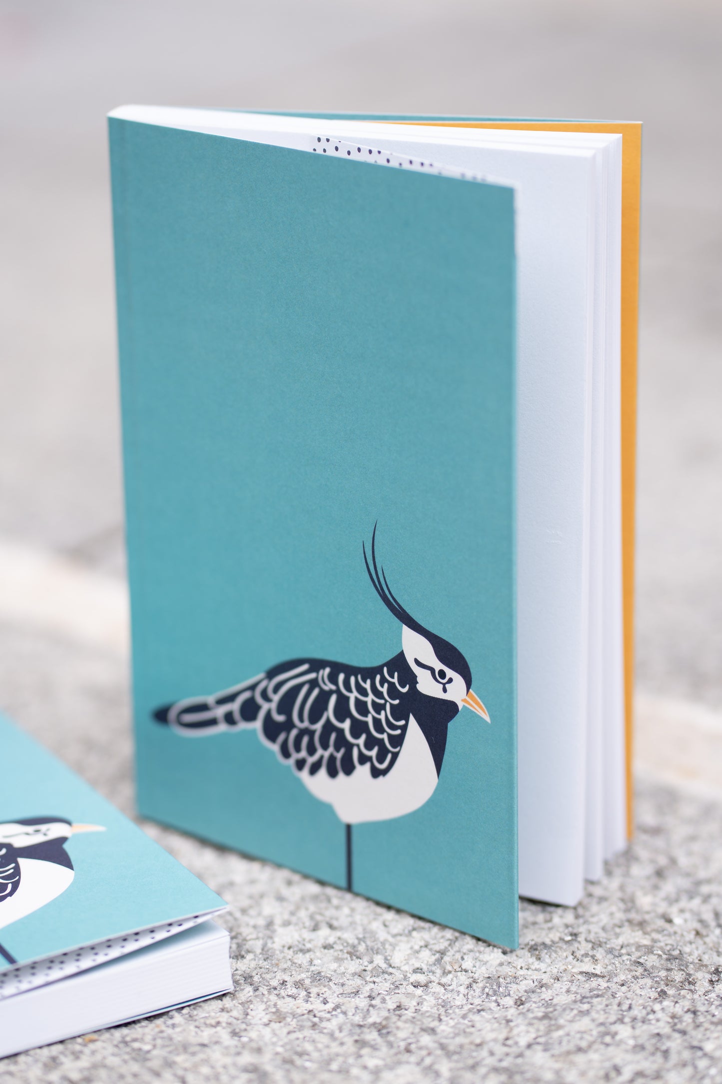 Lapwing notebook