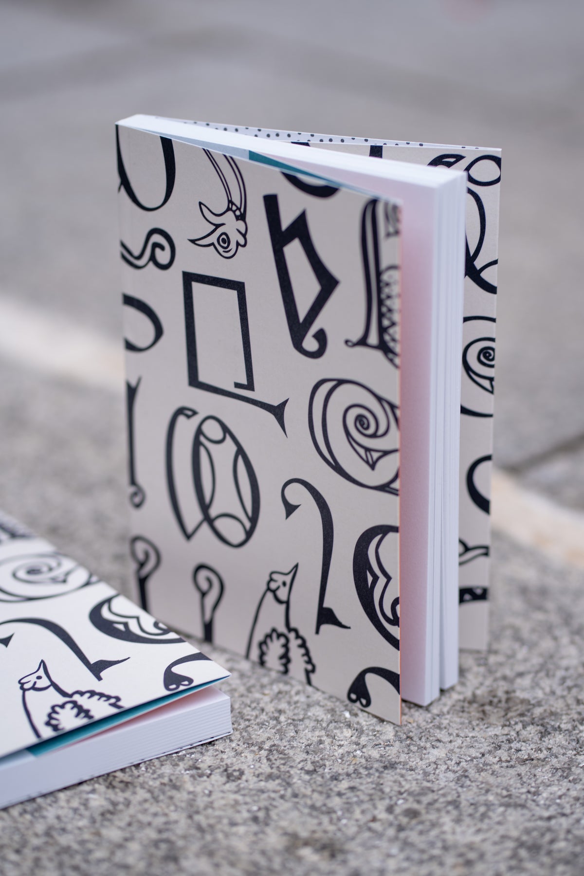 Note Book 1 Ria Letters notebook – Royal Irish Academy